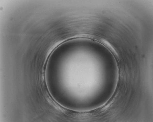 X0000073701292200608101804