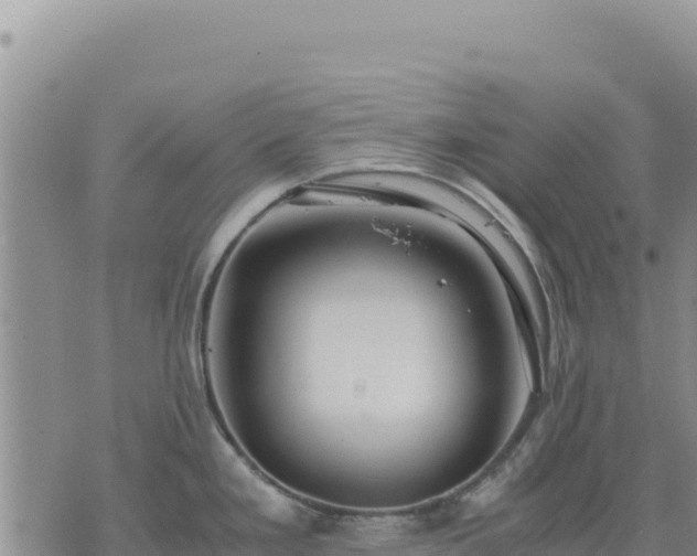 X0000073701293200608101804