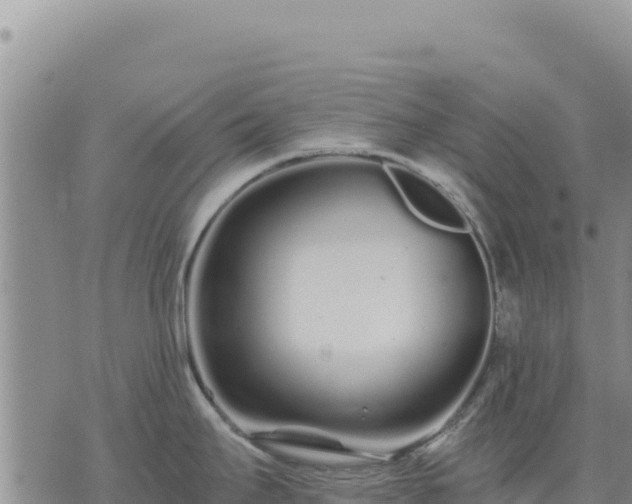 X0000073701295200608101804