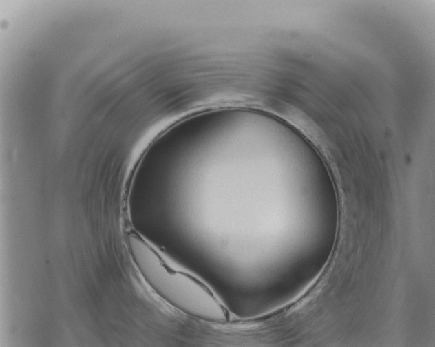 X0000073701296200608101804