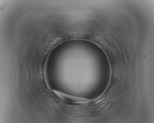 X0000073701298200608101803