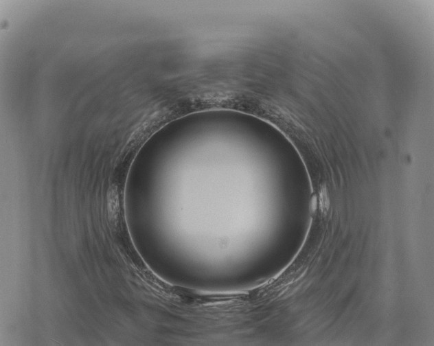 X0000073701299200608101803