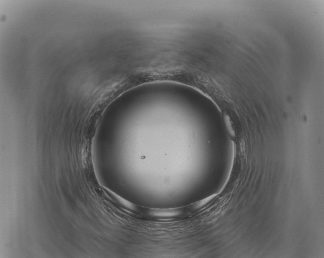 X0000073701300200608101803