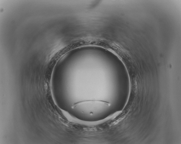 X0000073701302200608101803