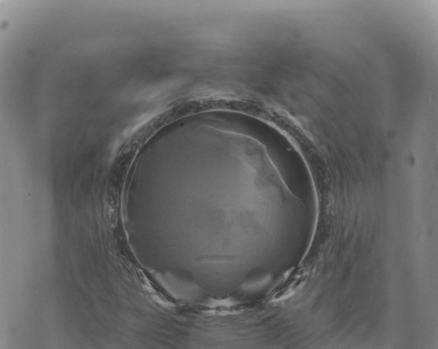 X0000073701303200608101803