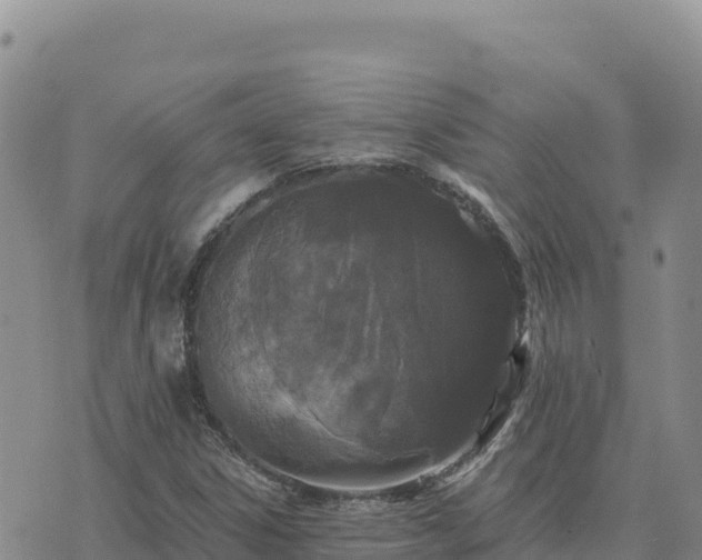 X0000073701306200608101803