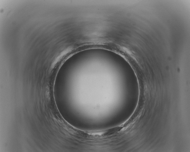 X0000073701307200608101803