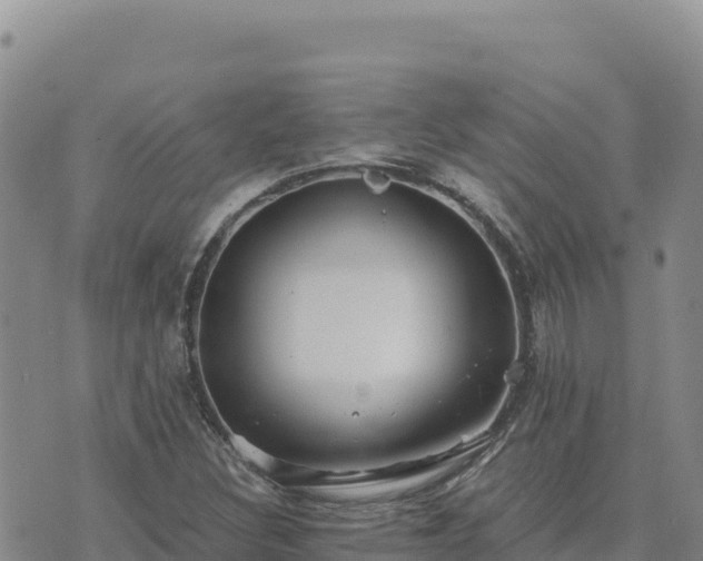 X0000073701308200608101803