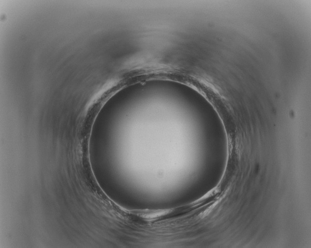 X0000073701309200608101803