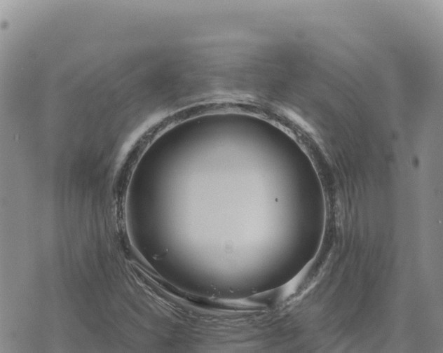 X0000073701310200608101803