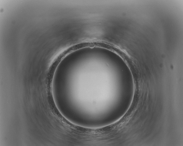 X0000073701311200608101803