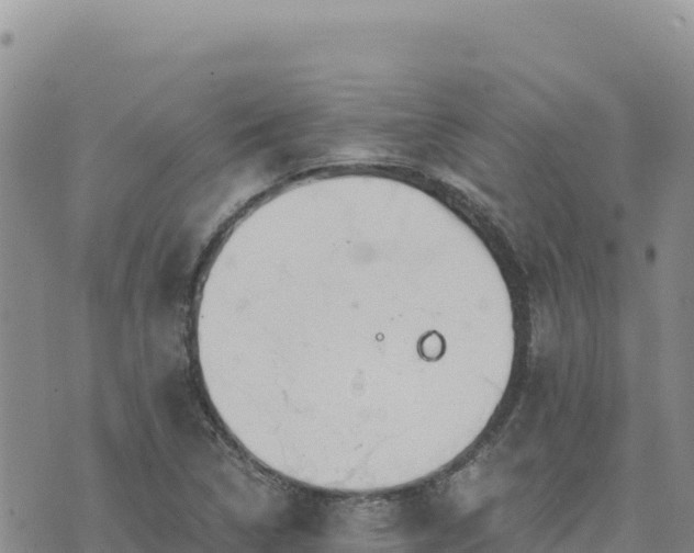 X0000073701314200608101803