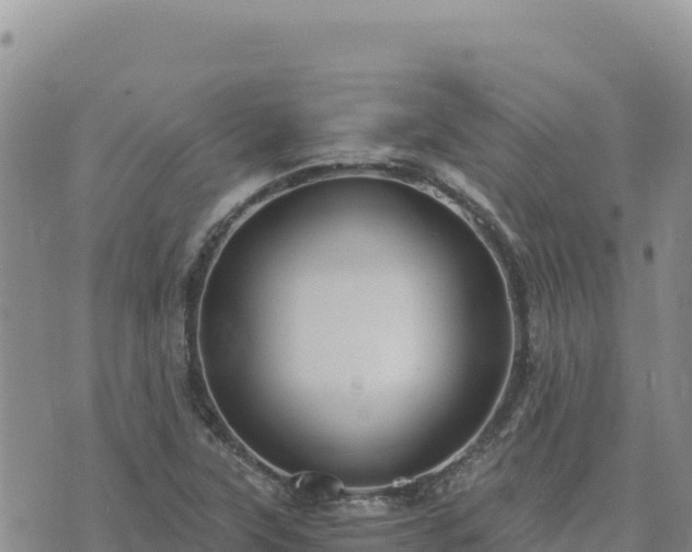 X0000073701315200608101803