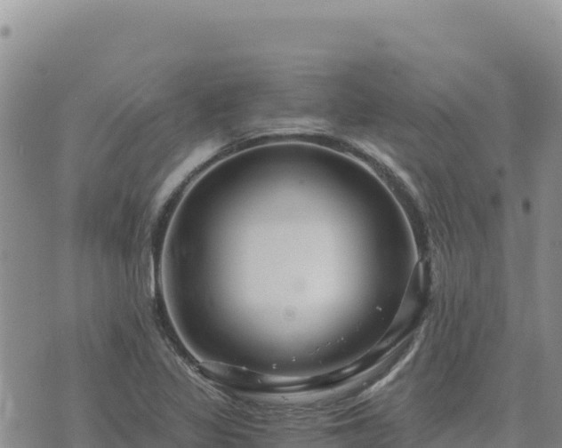 X0000073701317200608101803