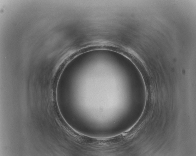 X0000073701318200608101803