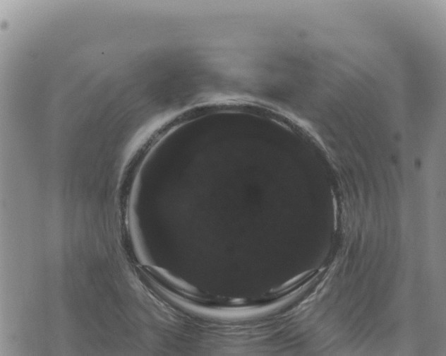 X0000073701319200608101803