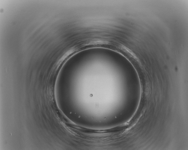 X0000073701321200608101803