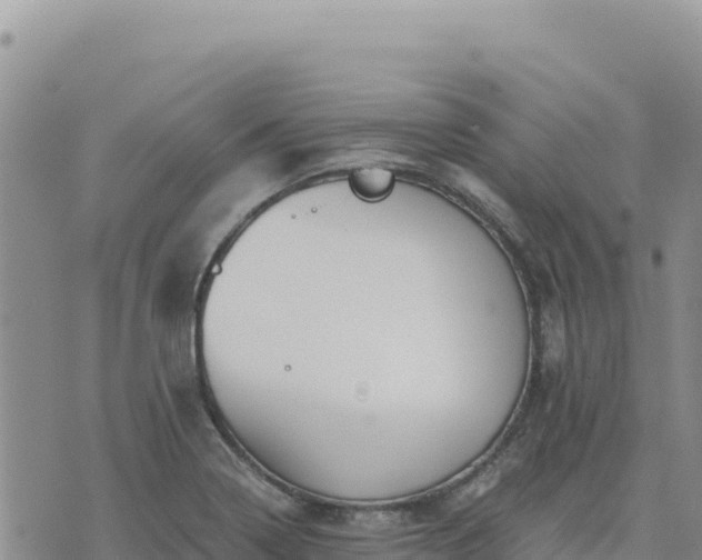 X0000073701322200608101803