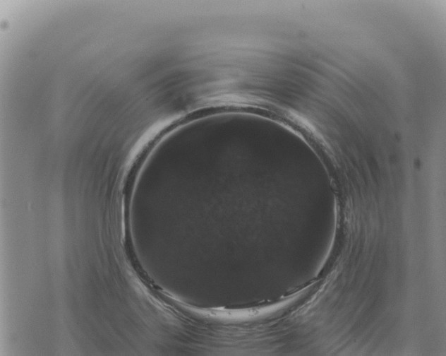 X0000073701323200608101803