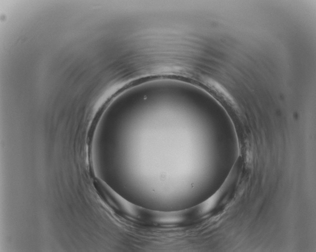 X0000073701324200608101803