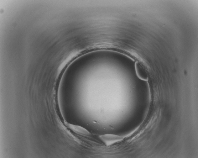 X0000073701325200608101803