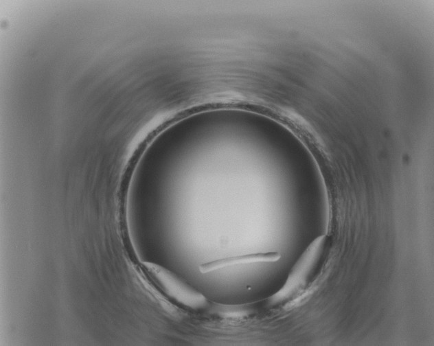 X0000073701326200608101803