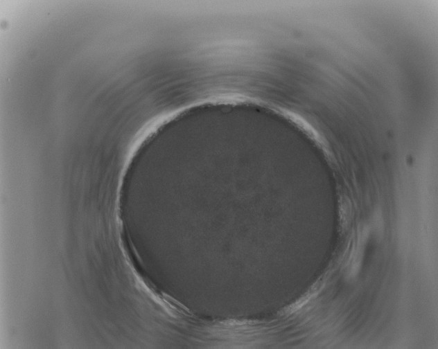 X0000073701327200608101804