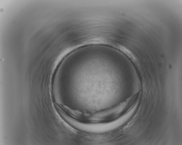 X0000073701334200608101804