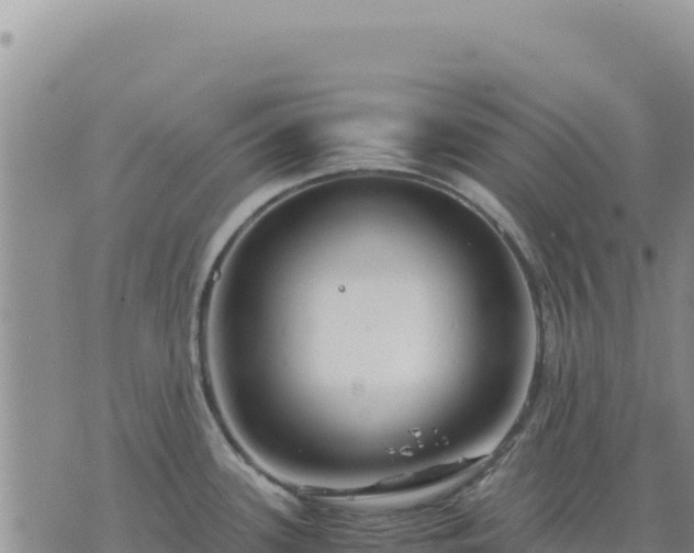 X0000073701339200608101804