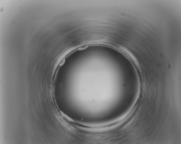 X0000073701340200608101804