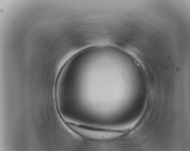 X0000073701343200608101804