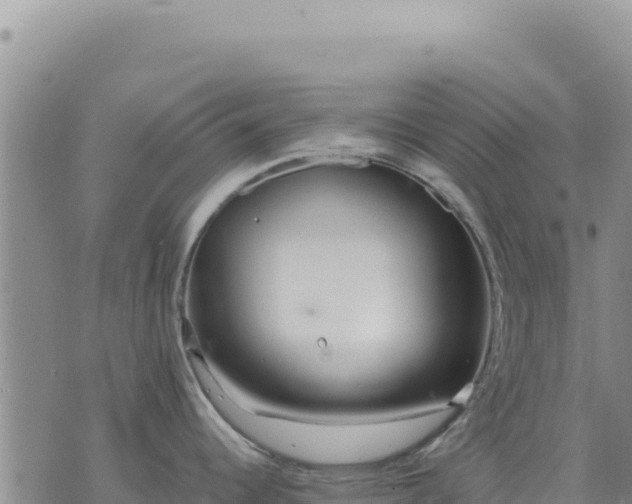 X0000073701344200608101804