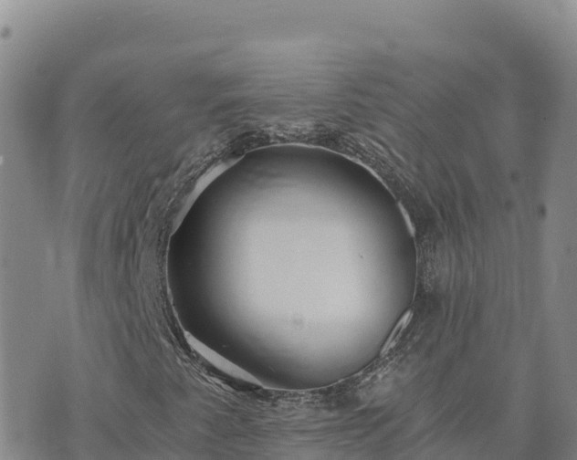 X0000073701345200608101803