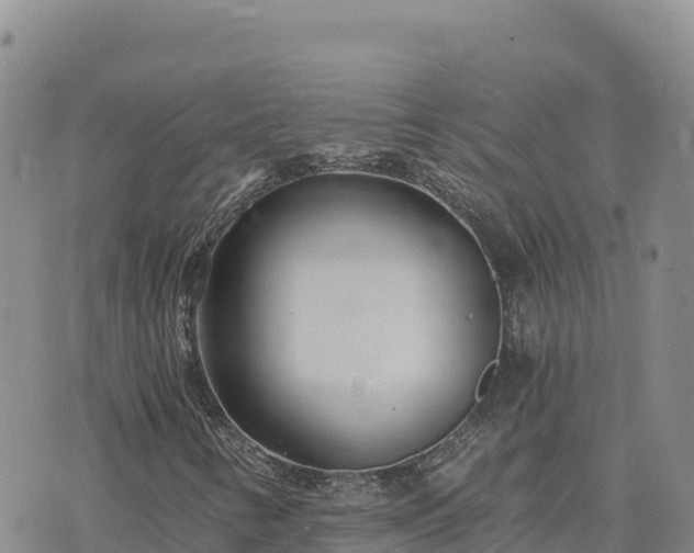 X0000073701346200608101803