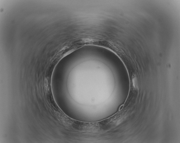 X0000073701347200608101803