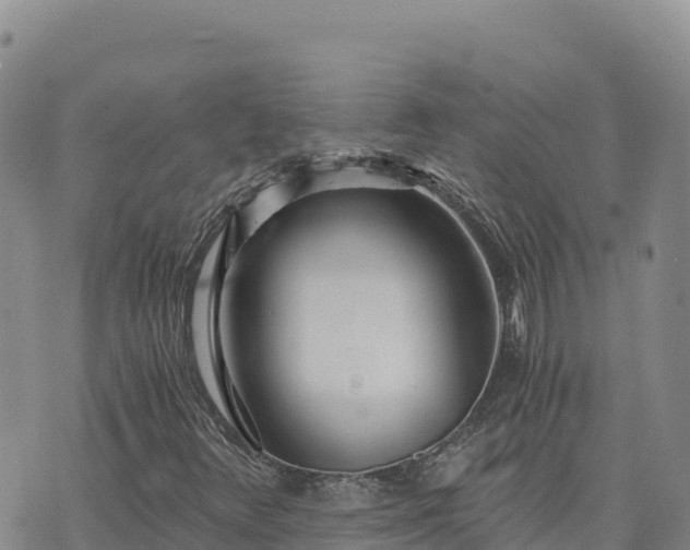 X0000073701348200608101803