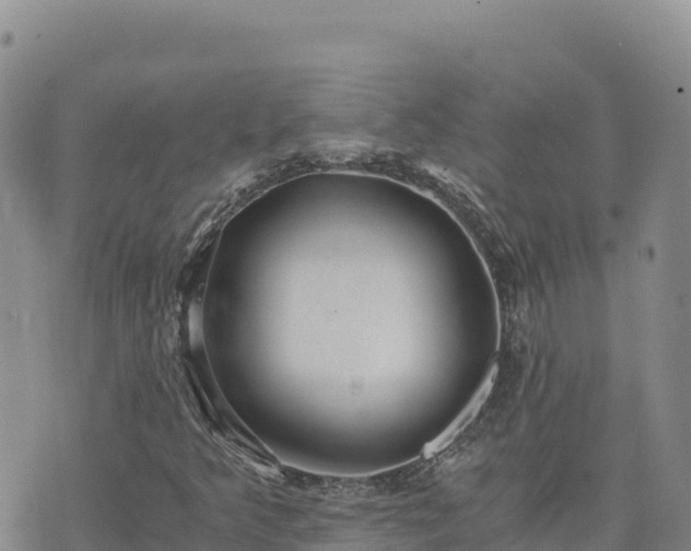 X0000073701349200608101803