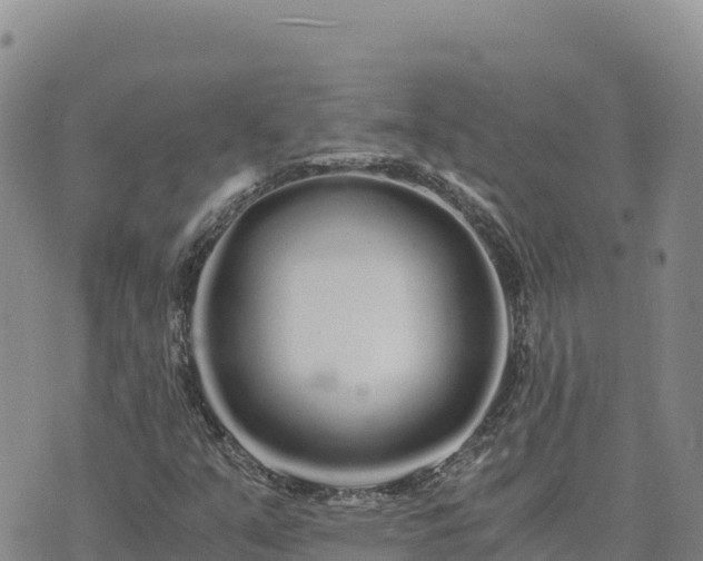 X0000073701351200608101803