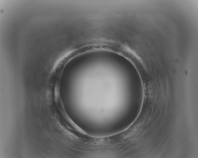 X0000073701352200608101803