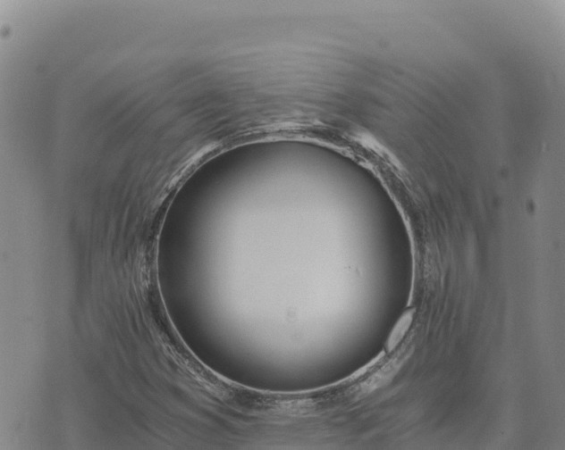 X0000073701353200608101803