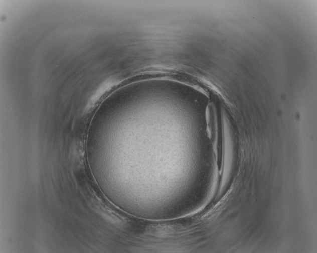 X0000073701355200608101803