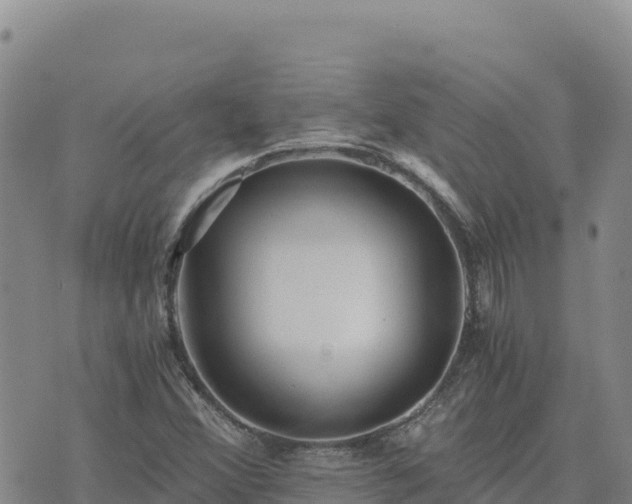 X0000073701356200608101803