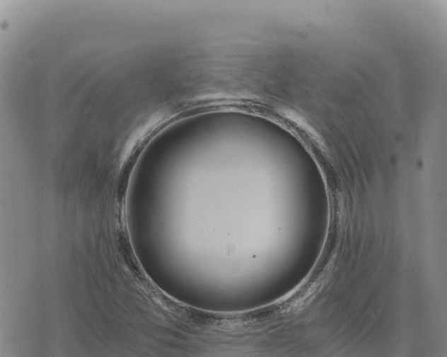 X0000073701357200608101803