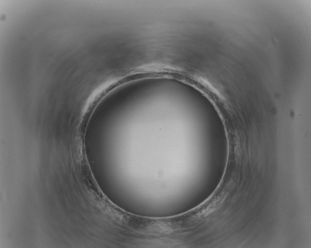 X0000073701358200608101803