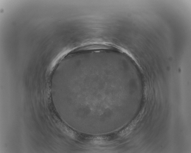 X0000073701359200608101803