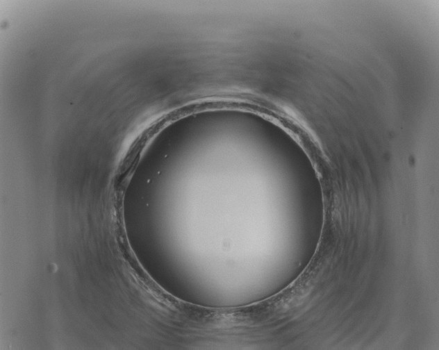 X0000073701360200608101803