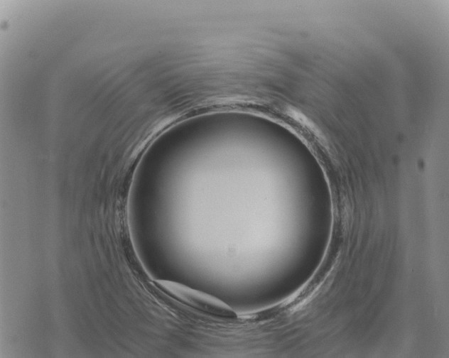 X0000073701361200608101803