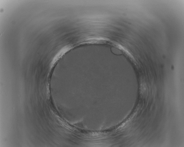 X0000073701362200608101803