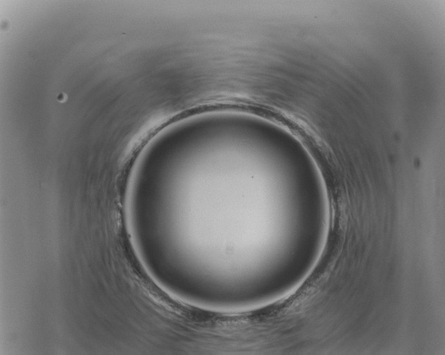 X0000073701363200608101803