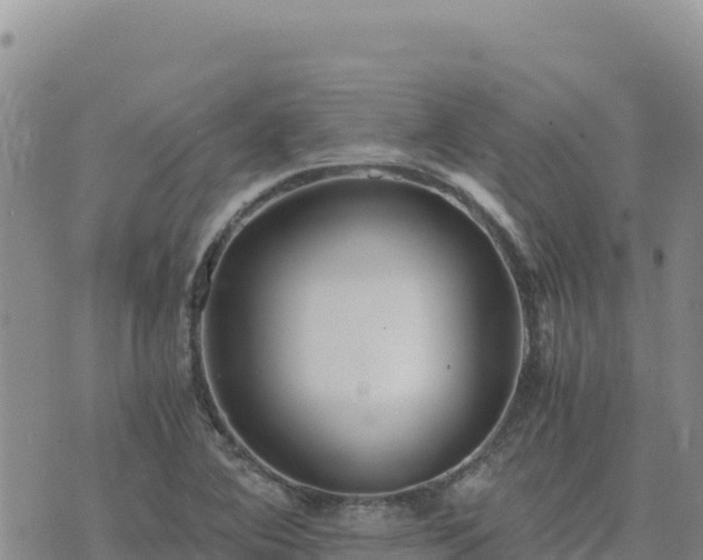 X0000073701364200608101803